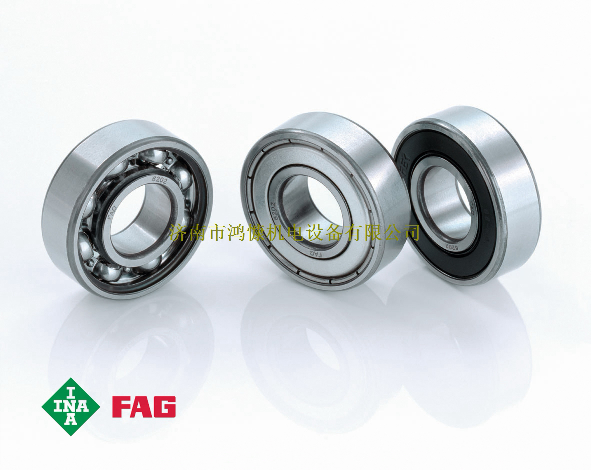 電機軸承專(zhuān)家